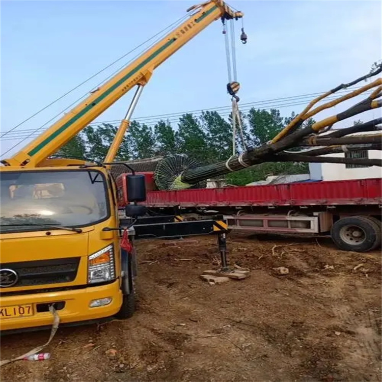 秭归100吨吊车租赁费用怎么算？3大关键因素+省钱技巧全解析